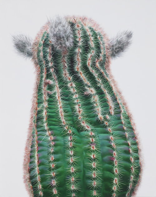 Cactus No. 64