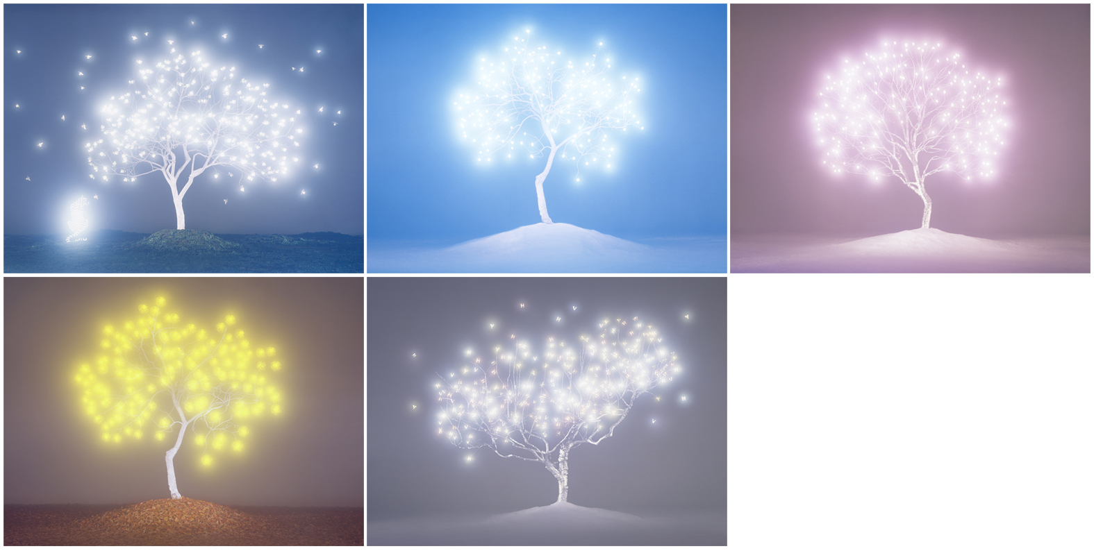 Tree of Life(Series)-#1-6, #2-1, #2-6, #3-2, #4-4