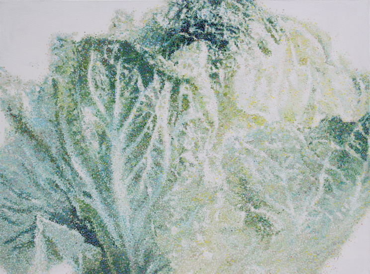 Accumulation-Cabbage-14-1