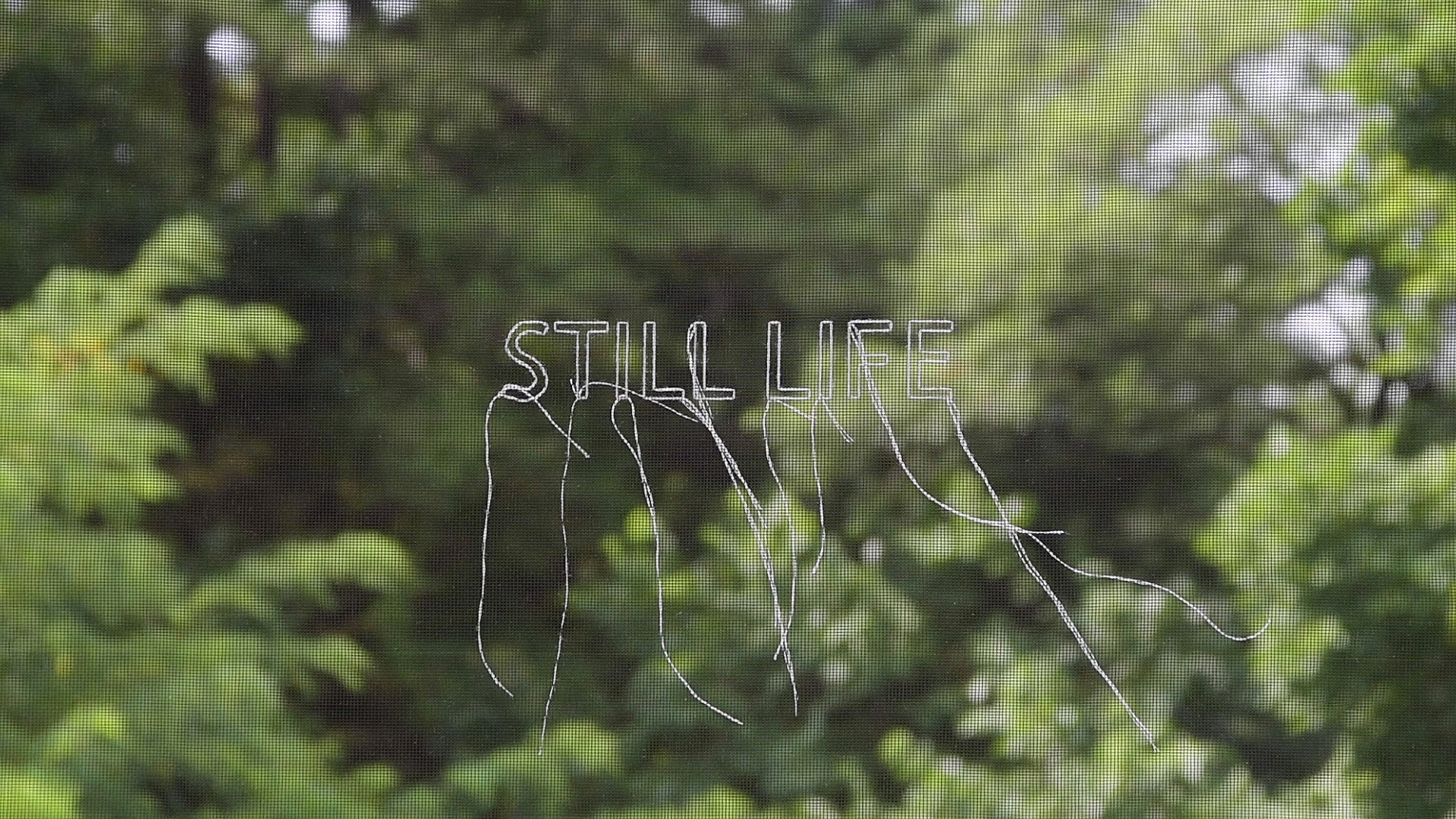 Still Life-광주, 제주도, 교토, 노화도